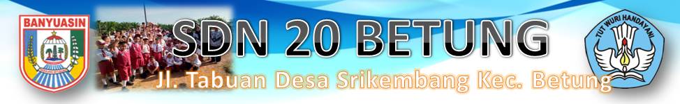 SDN 20 BETUNG